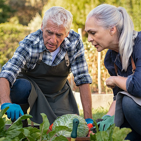 Elderly couple working outside in a garden